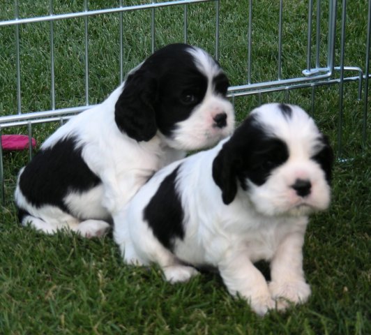 stenata_3_tydny (10)